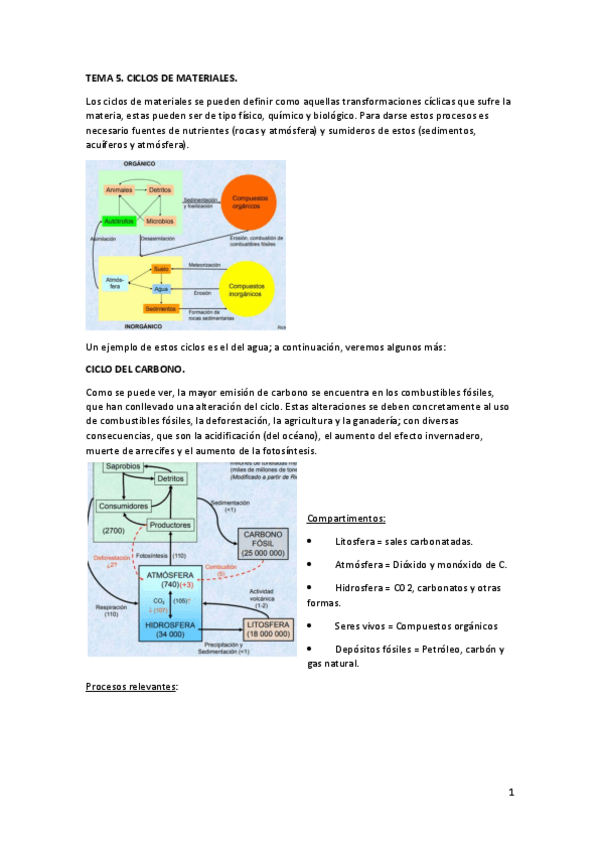 Miniatura del documento TEMA-5-convertido.pdf