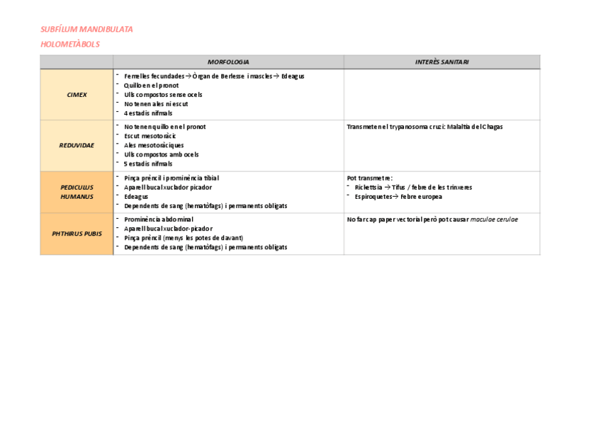 Miniatura del documento Resum-mandibulata.pdf