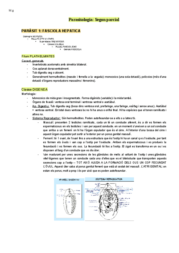 Miniatura del documento Parasito-tot-segon-parcial.pdf