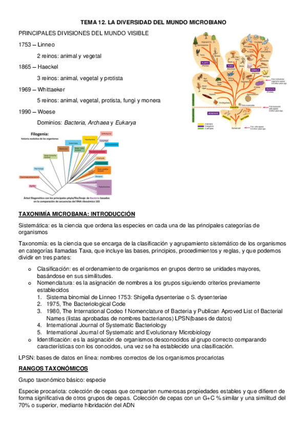 Miniatura del documento TEMA-12.pdf