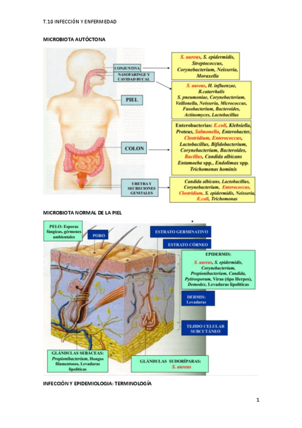 Miniatura del documento TEMA-10.pdf