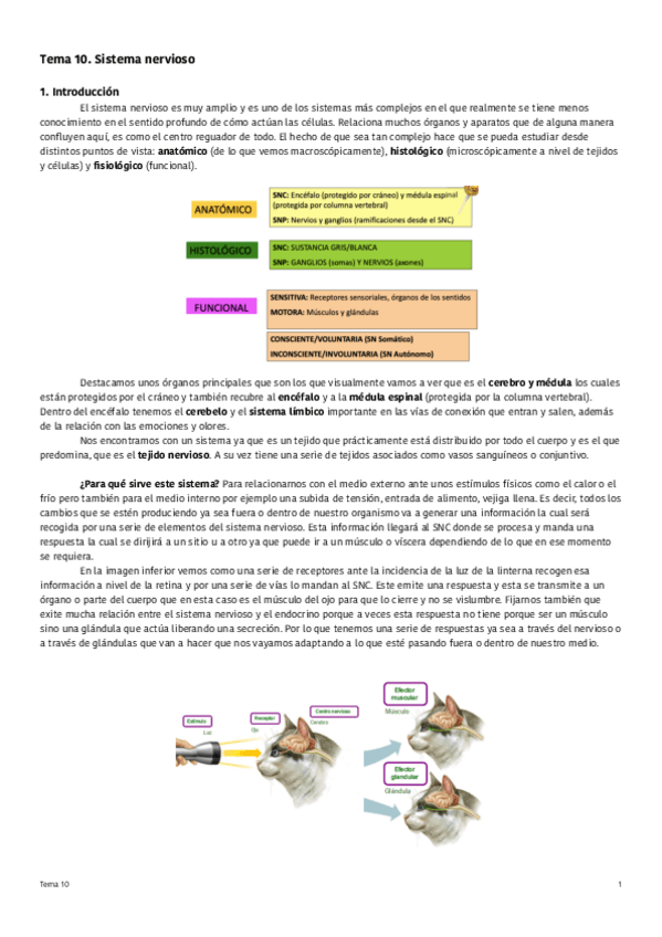 Miniatura del documento Tema-10-Sistema-nervioso.pdf