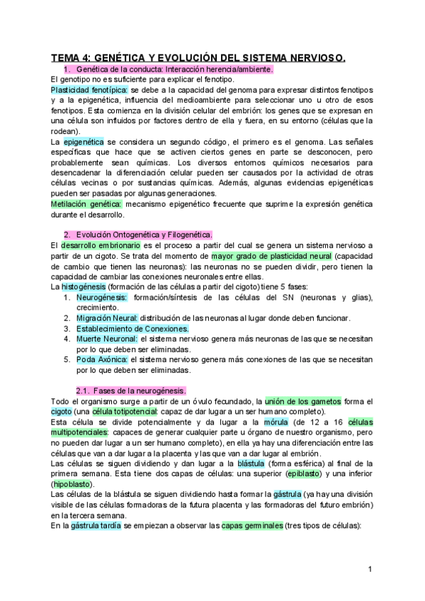 Miniatura del documento TEMA-4-GENETICA-Y-EVOLUCION-DEL-SISTEMA-NERVIOSO.pdf