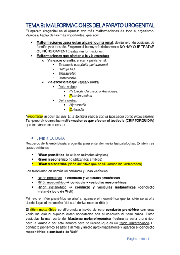 Miniatura del documento TEMA-8.pdf
