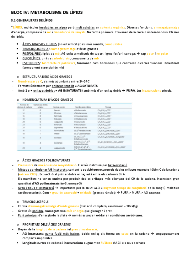 Miniatura del documento BLOC-Vmetabolisme-de-lipids.pdf