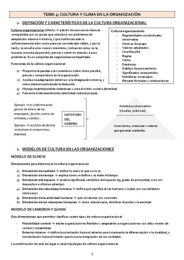 Miniatura del documento TEMA-4-organizaciones.pdf
