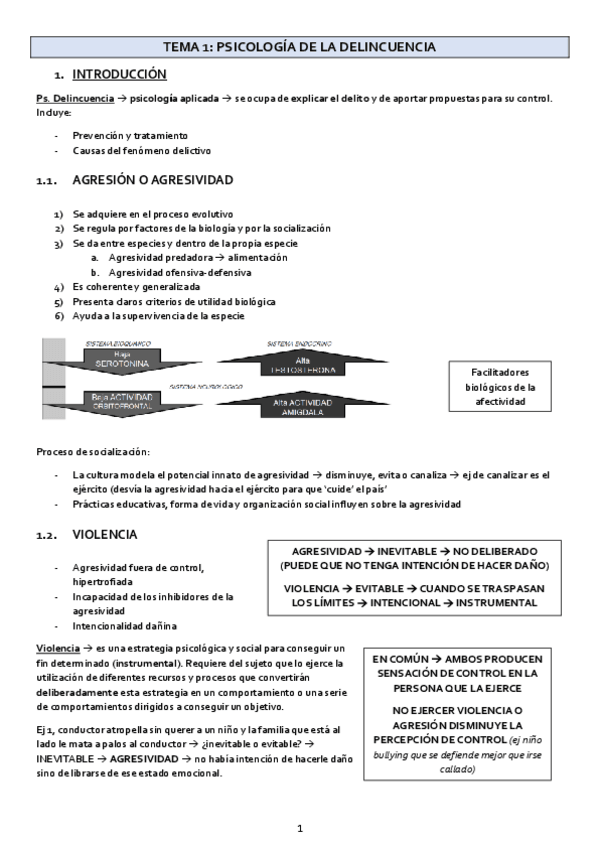 Miniatura del documento TEMA1-Delincuencia.pdf