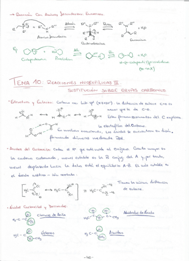 Miniatura del documento TEMA 10.pdf