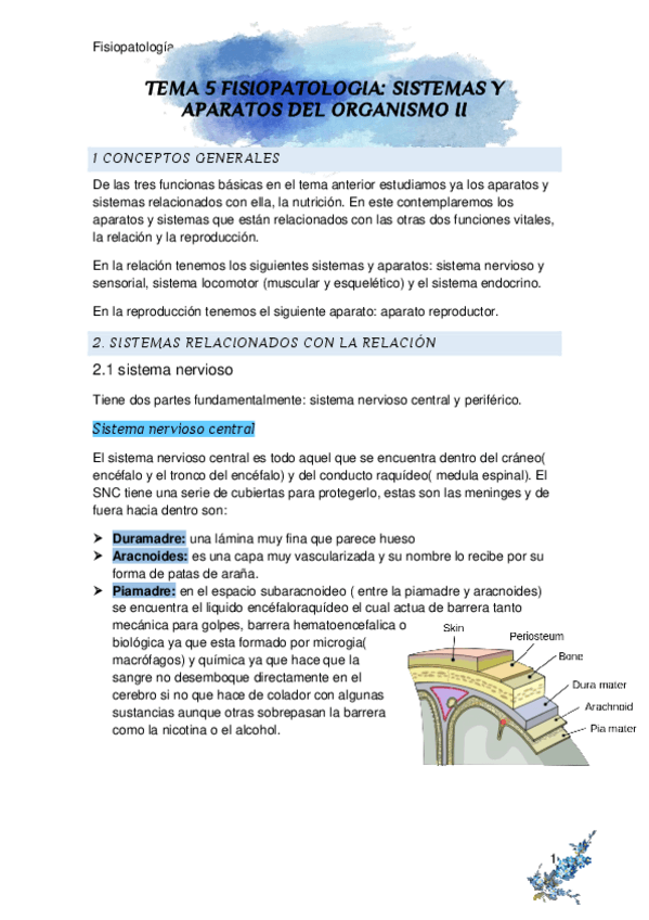 Miniatura del documento tema-5-fisiopatologia.pdf