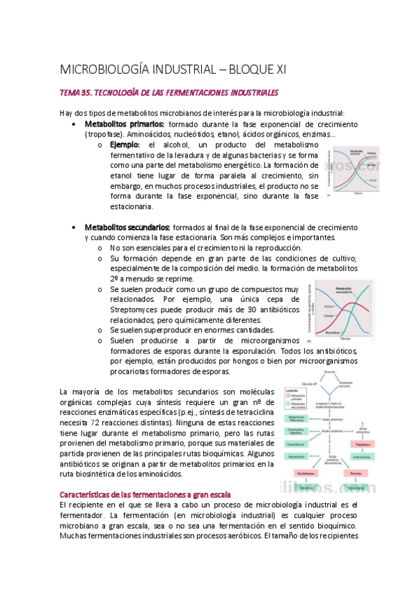 Miniatura del documento TEMA-35-y-36-MICRO.pdf