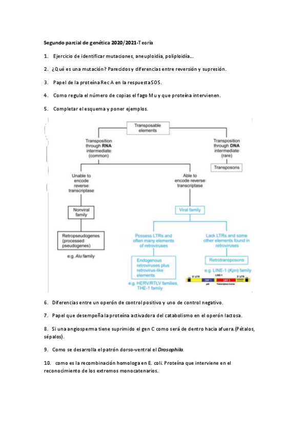 Miniatura del documento Segundo-parcial-de-genetica-2020.pdf