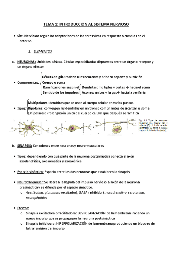 Miniatura del documento Sistema-nervioso-organos-de-los-sentidos-y-tegumento-comun-de-los-animales-domesticos.pdf