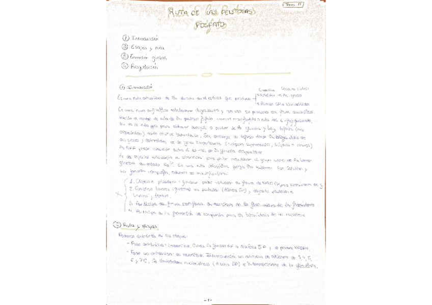 Miniatura del documento Regulacion-del-metabolismo-segundo-parcial.pdf