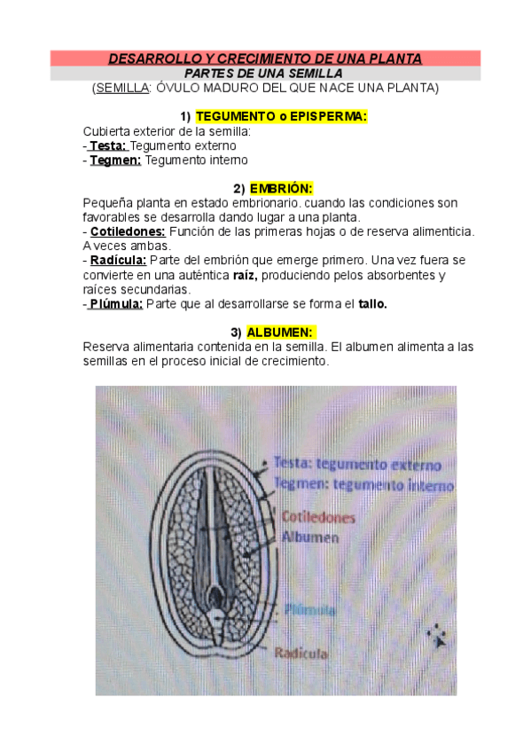 Miniatura del documento Test-1-semilla.pdf