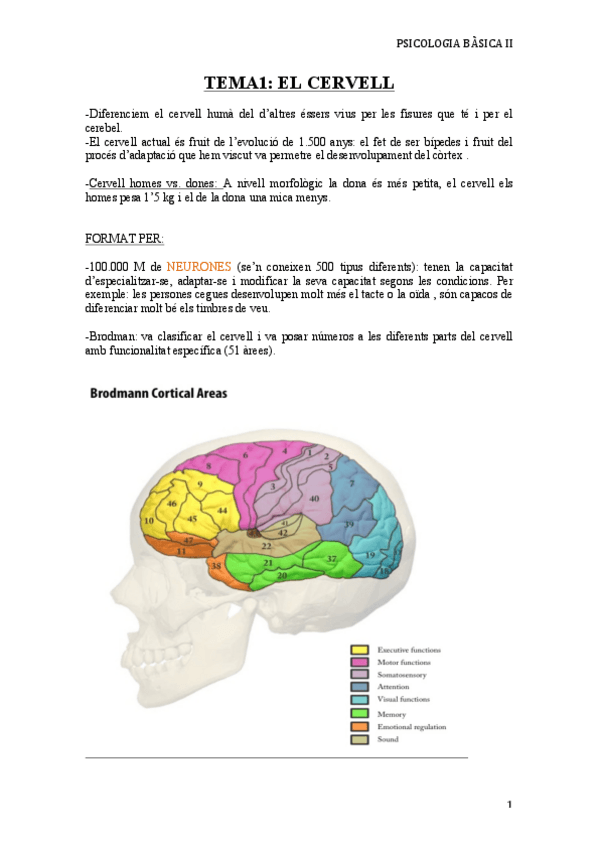 Miniatura del documento Apunts-Basica-II-AM.pdf