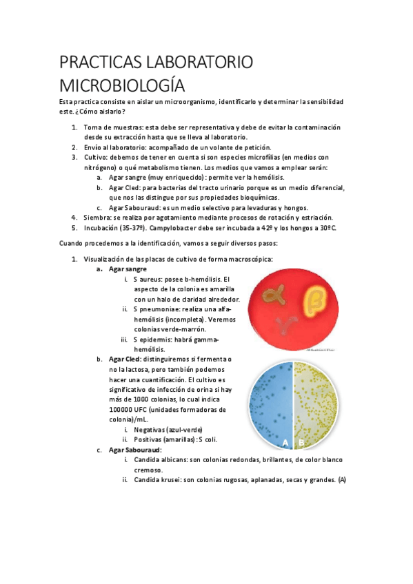Miniatura del documento PRACTICAS-LABORATORIO.pdf