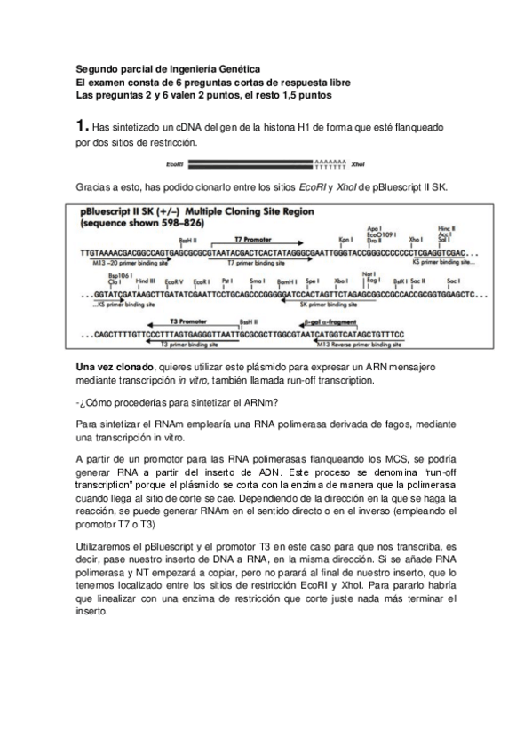 Miniatura del documento parcial-2.pdf