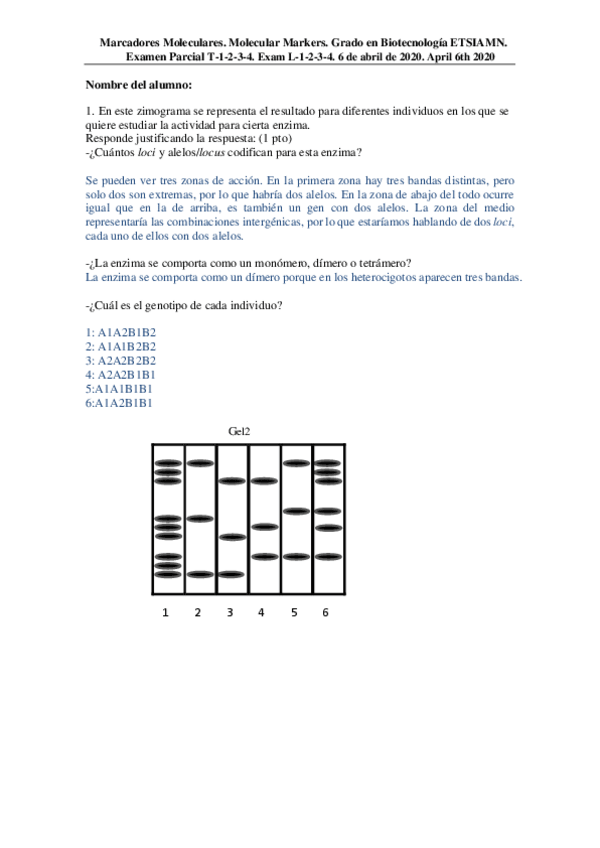 Miniatura del documento Parcial-1-MM.pdf