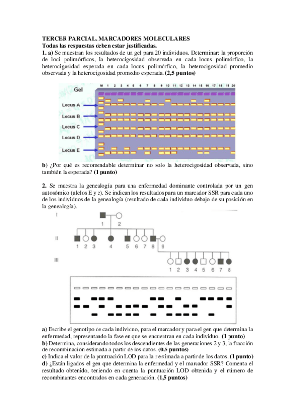 Miniatura del documento Parcial-3-MM.pdf