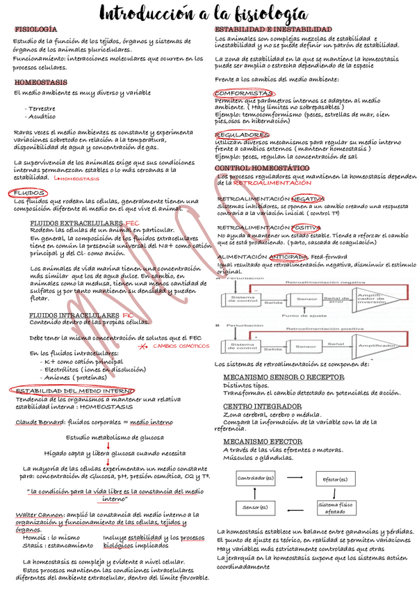 Miniatura del documento Fisiologia-Animal-1.pdf