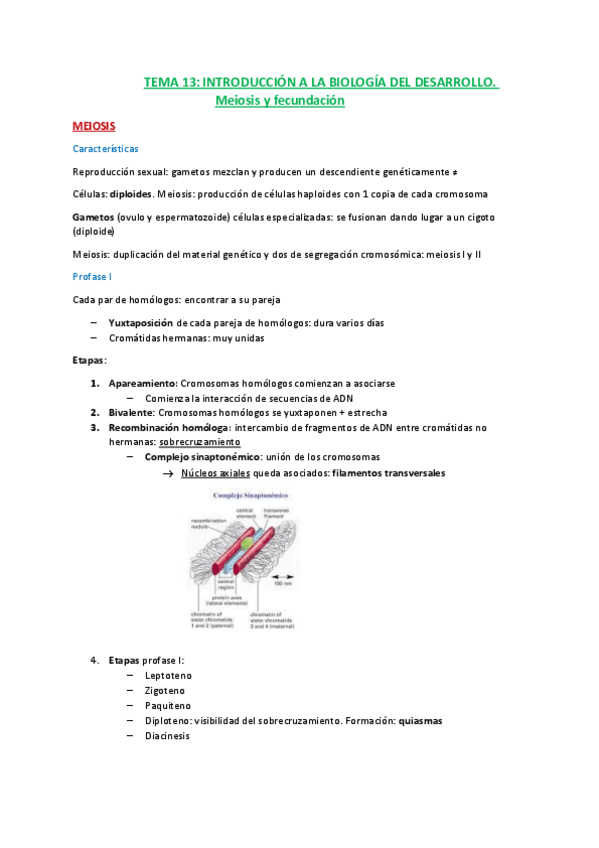 Miniatura del documento T13-Introduccion-a-la-biologia-del-desarrollo.pdf