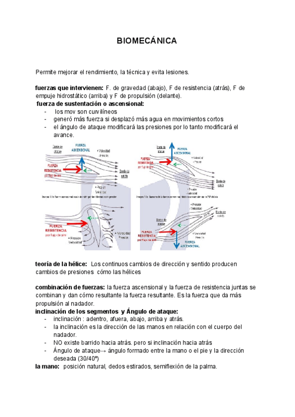 Miniatura del documento RESUMEN-NATACION.pdf