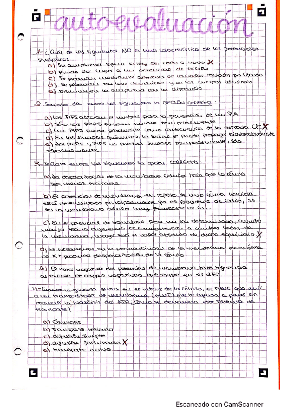 Miniatura del documento AUTOEVALUACION-1.pdf