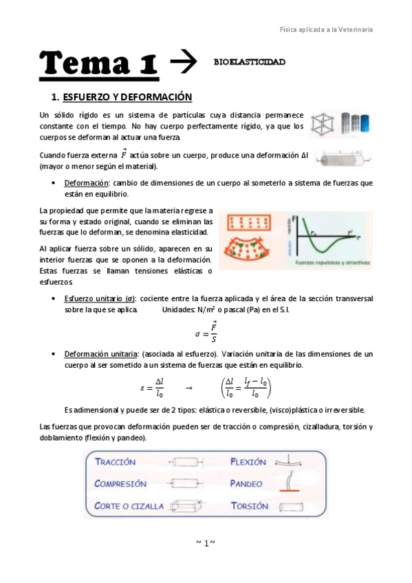 Miniatura del documento Tema-1-Bioelasticidad.pdf