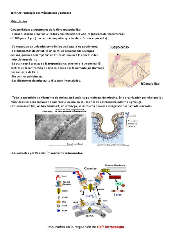 Miniatura del documento Apuntes-tema-9.pdf