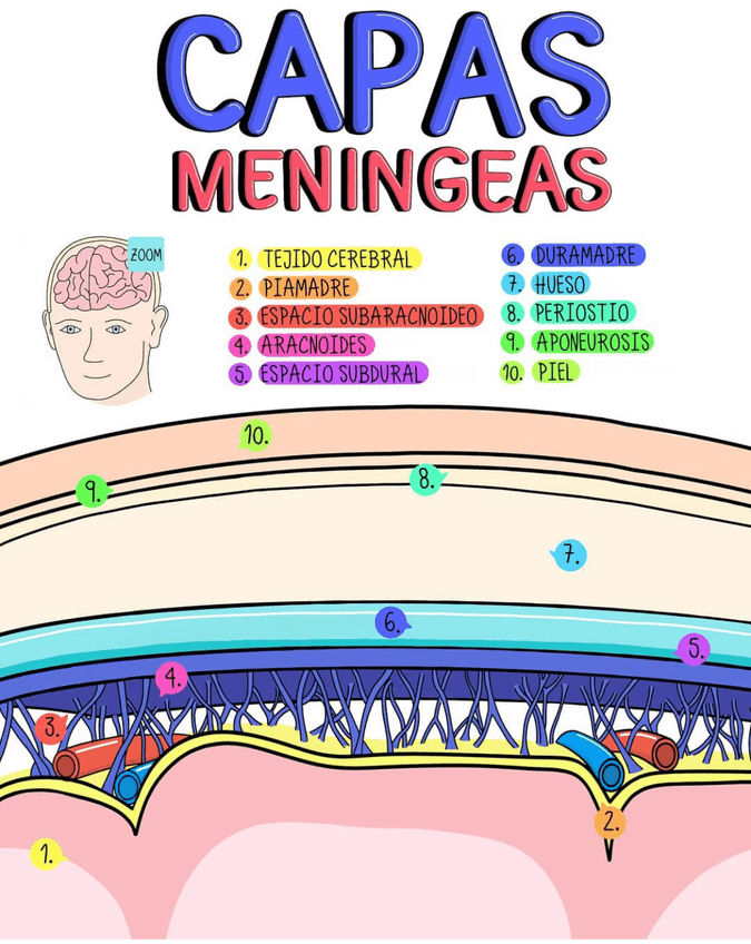 Miniatura del documento E98951A5-8D73-4CC6-8918-074A367550A0.jpg