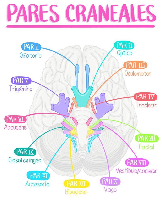 Miniatura del documento CCEB6D62-515E-4D93-8DAD-9806B860B4E2.jpg