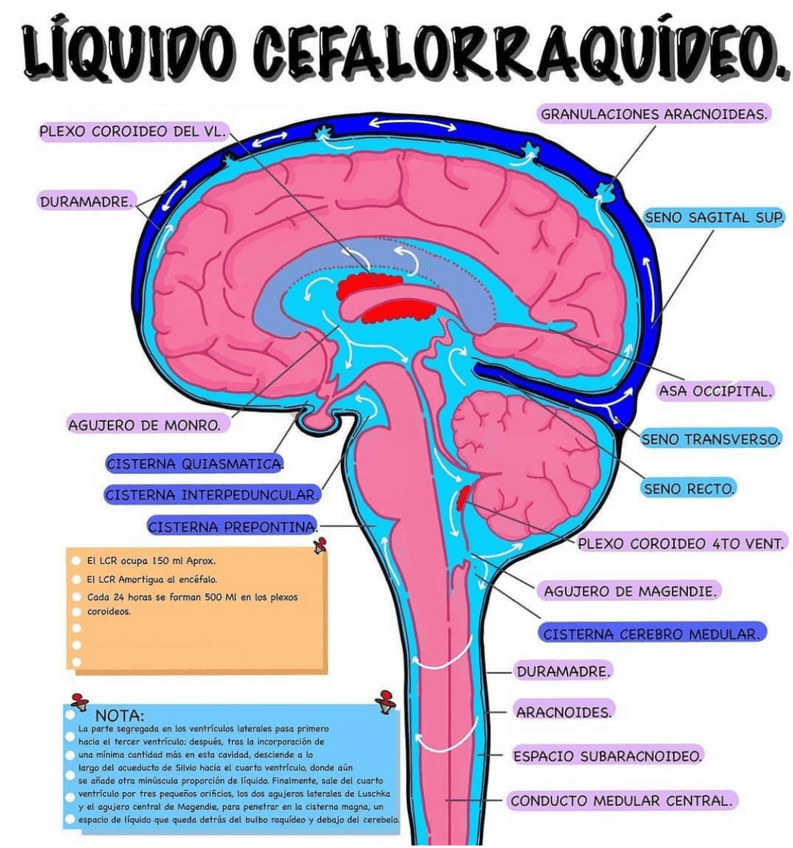 Miniatura del documento 7F190E2A-CBBC-4F2E-9B1B-8137DA46E823.jpg