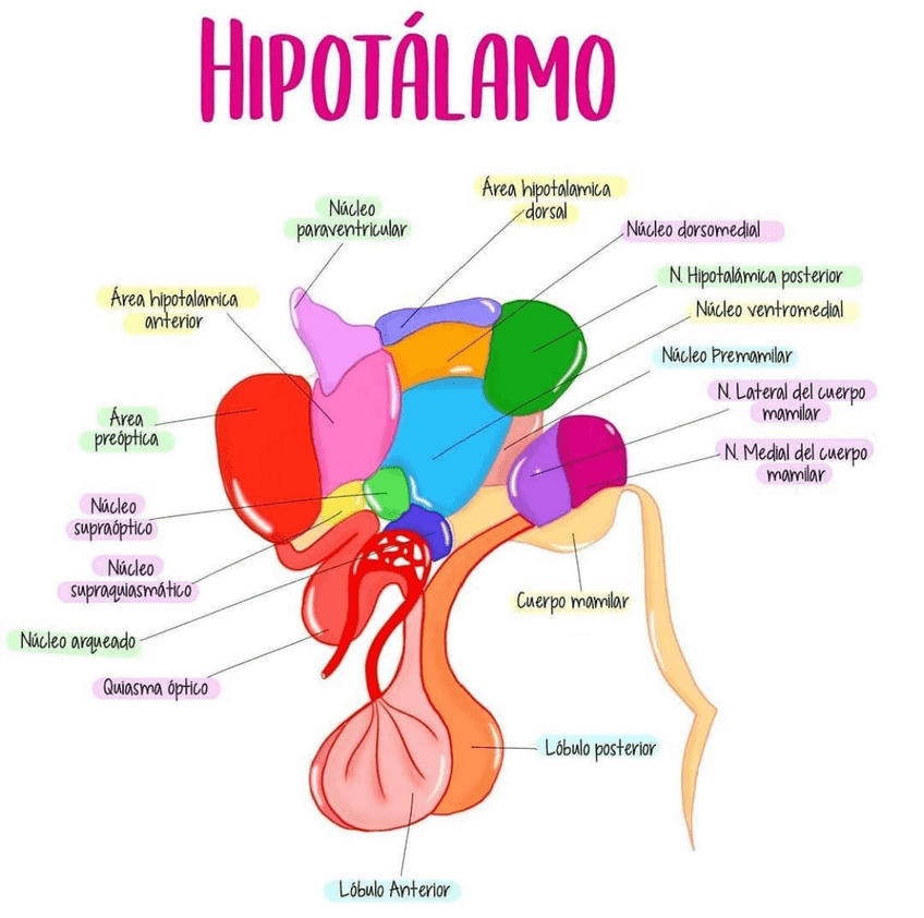 Miniatura del documento 7D39ECC3-B6D6-4555-AE30-4103540D876A.jpg