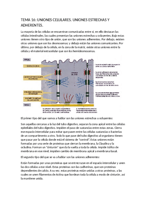 Miniatura del documento BIOLOG_A_TEMA_16-30.pdf
