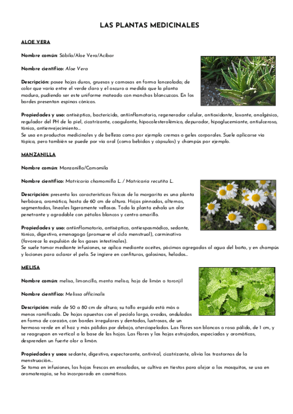 Miniatura del documento LAS-PLANTAS-MEDICINALES.pdf