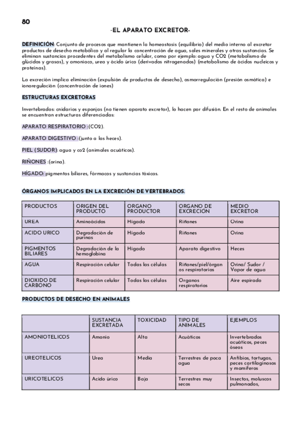 Miniatura del documento EL-APARATO-EXCRETOR.pdf