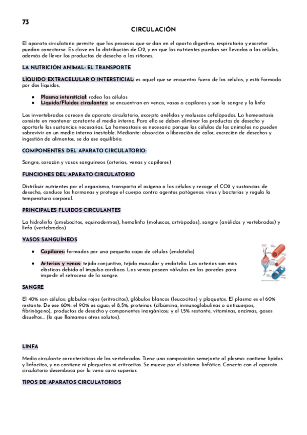 Miniatura del documento CIRCULACION-1.pdf