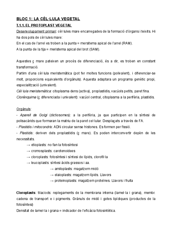 Miniatura del documento CITO.pdf