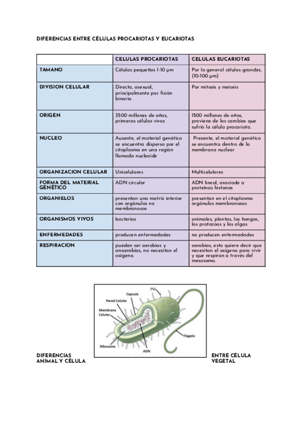Miniatura del documento diferencias.pdf