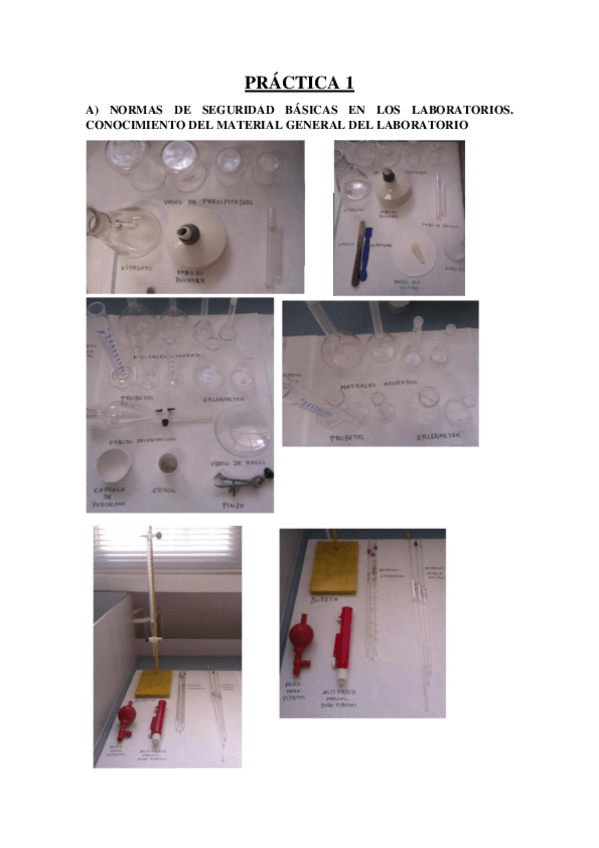 Miniatura del documento Teoria-de-las-practicas.pdf