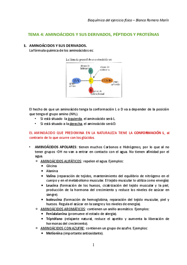 Miniatura del documento TEMA-4-Las-proteinas.pdf