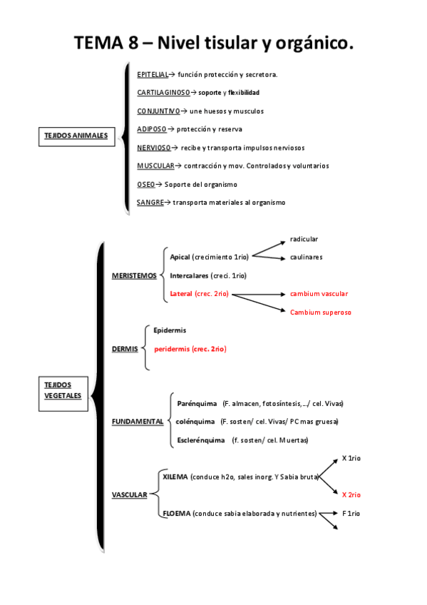 Miniatura del documento Tema 8.pdf