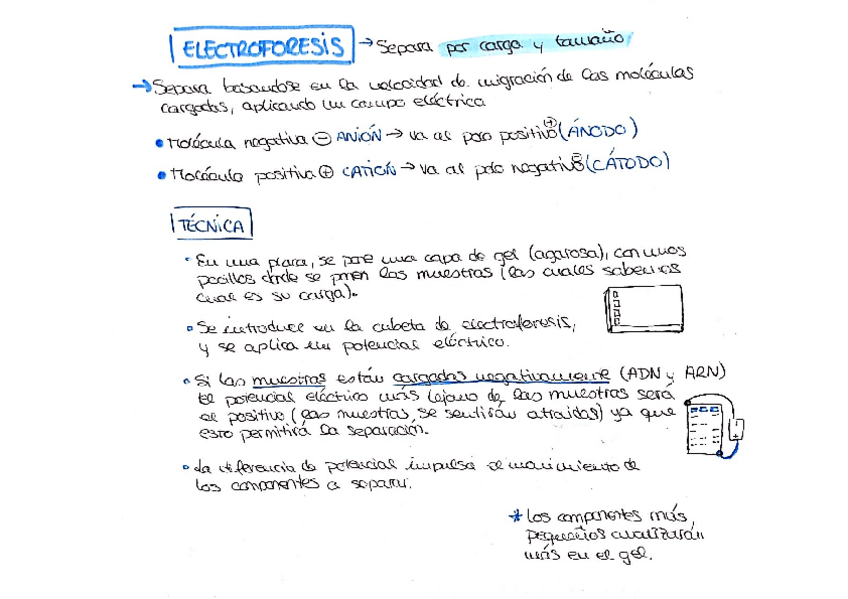 Miniatura del documento Electroforesis.pdf