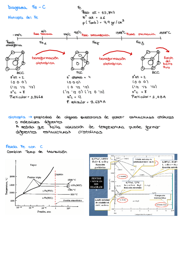 Miniatura del documento Explicacion-Diagramas-Fe-C.pdf