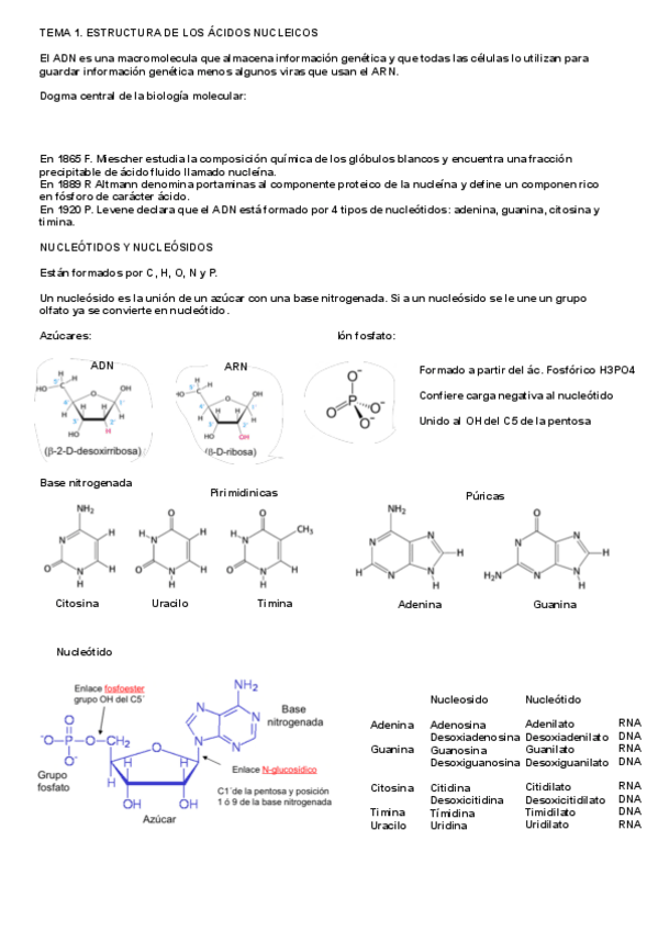 Miniatura del documento Bioquimica-I.pdf