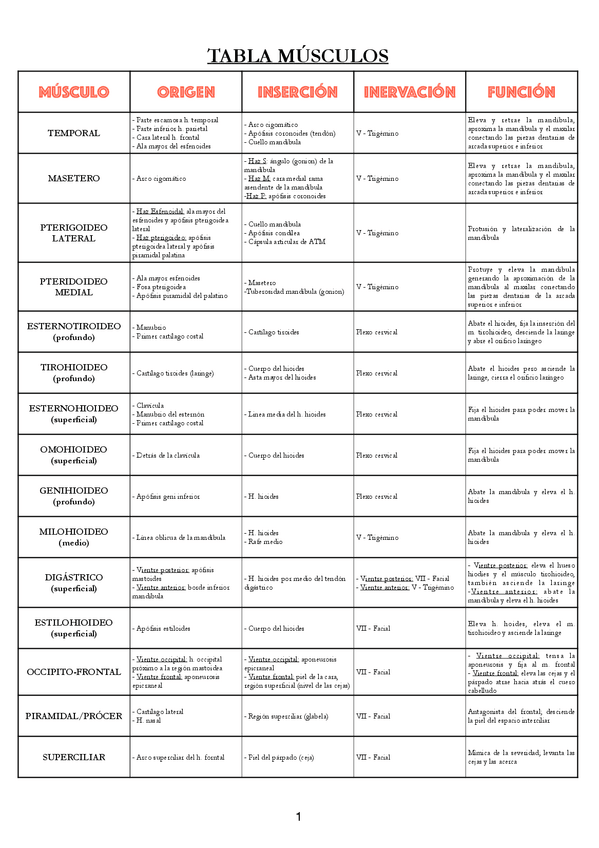 Miniatura del documento Tabla-musculos.pdf