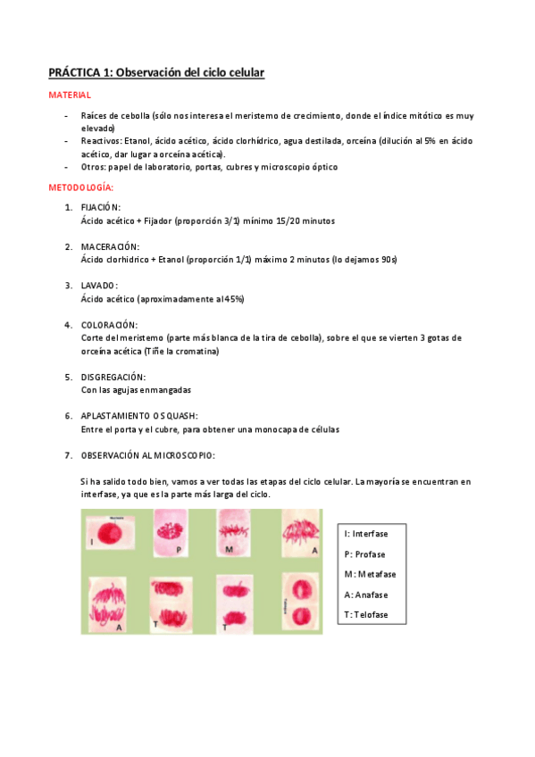 Miniatura del documento PRACTICAS-GENETICA.pdf