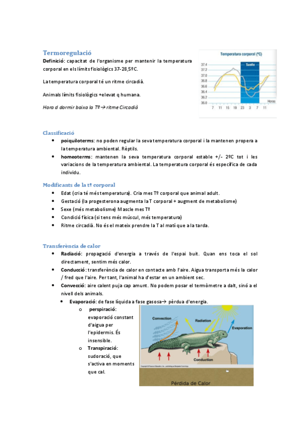 Miniatura del documento Termoregulacio-4a-classe-19-01-21-irina.pdf