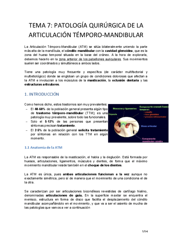 Miniatura del documento TEMA-7-PATOLOGIA-DE-LA-ATM.pdf