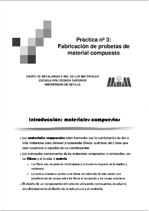 Miniatura del documento PRACTICAS-OCR.pdf